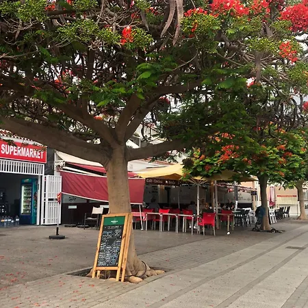 Eureka 167 Lejlighed Costa del Silencio