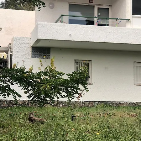 Eureka 167 Lejlighed *